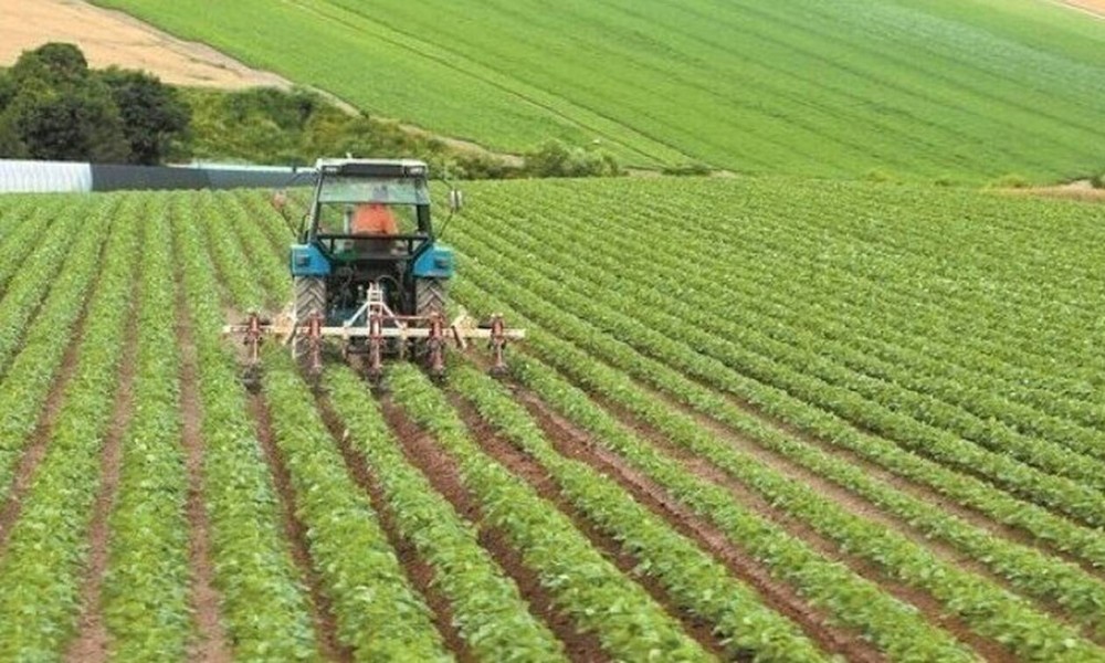 Πρόγραμμα 31,5 εκατ. ευρώ για τη στήριξη αγροτικών παραγωγών