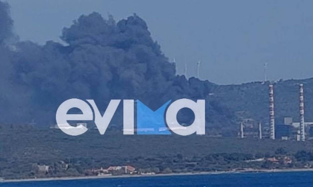 Αλιβέρι: Υπό μερικό έλεγχο φωτιά κοντά στο εργοστάσιο της ΔΕΗ