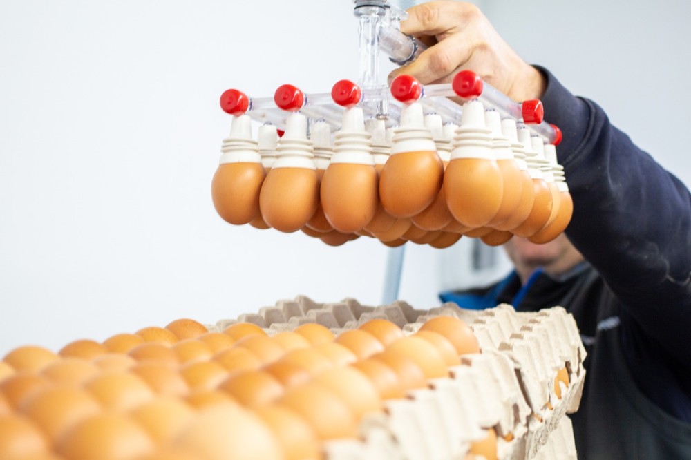 Συνεργασία ΥΠΑΑΤ με ΕΛΓΟ-ΔΗΜΗΤΡΑ για την καταγραφή των επιχειρήσεων παραγωγής –εμπορίας αυγών
