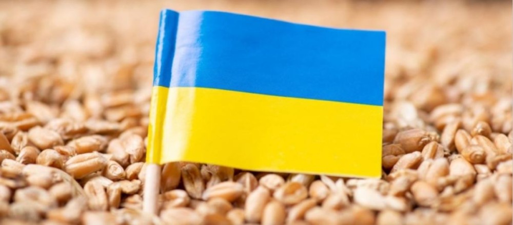 Ουκρανία: Τα πρώτα φορτία σιτηρών έφτασαν με τρένα στην Ευρώπη