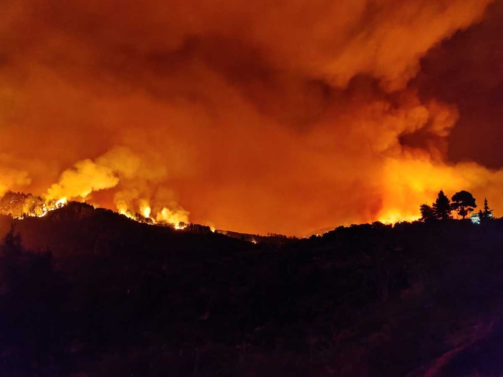 Πυροσβεστική: 157 δασικές πυρκαγιές το τριήμερο