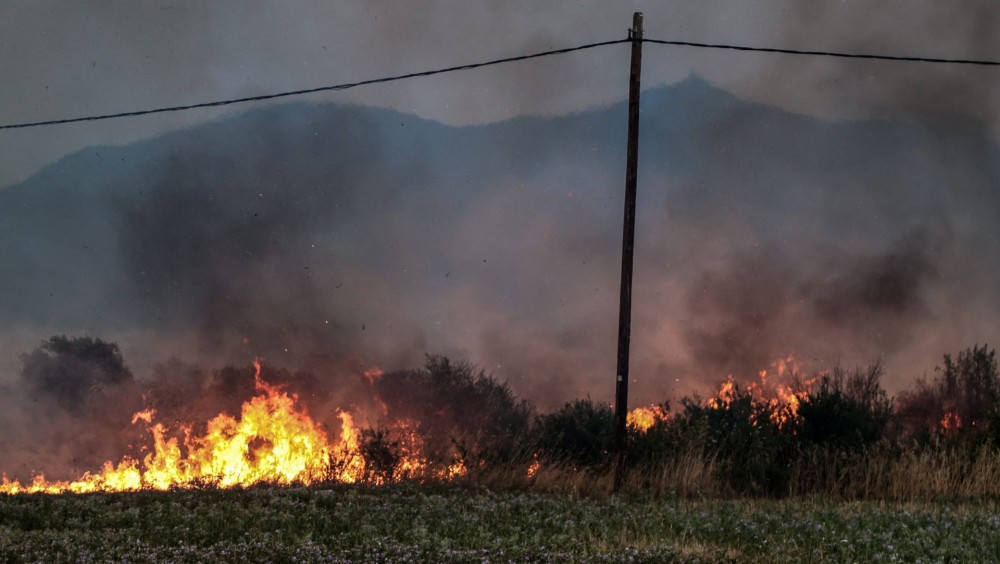 Πυρκαγιά στην Παλλήνη – Δεν απειλεί σπίτια