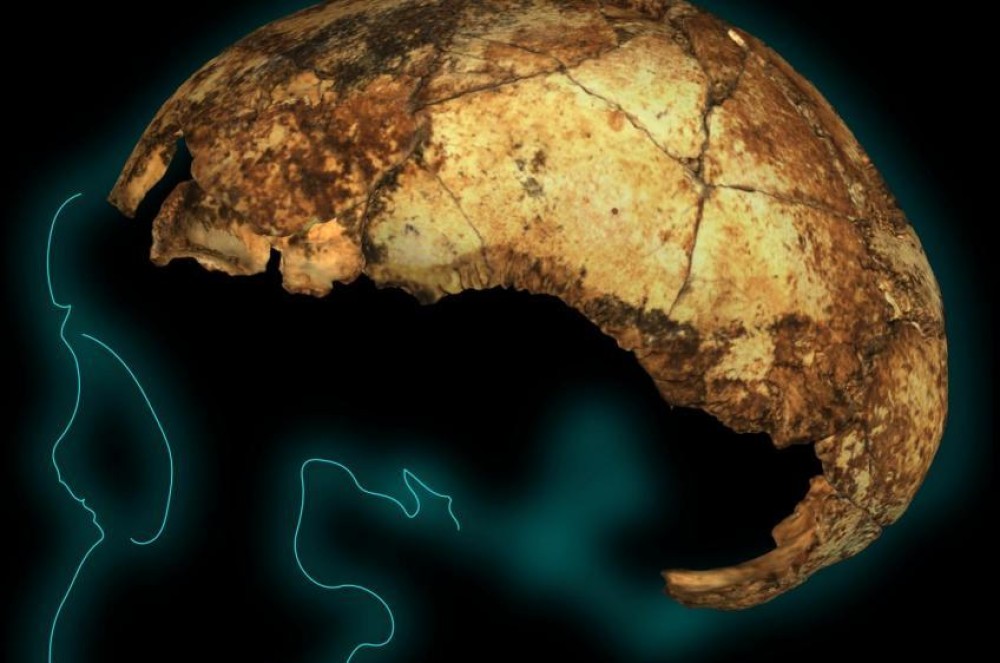 Ανακάλυψη: Το αρχαιότερο κρανίο στον κόσμο ηλικίας 2 εκατ. ετών&#33;