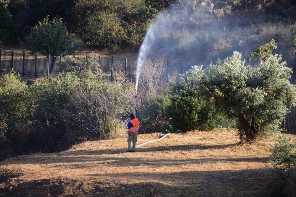 Τρίπολη: Υπό έλεγχο η φωτιά στην περιοχή Ρούτσι του δήμου Μεγαλόπολης