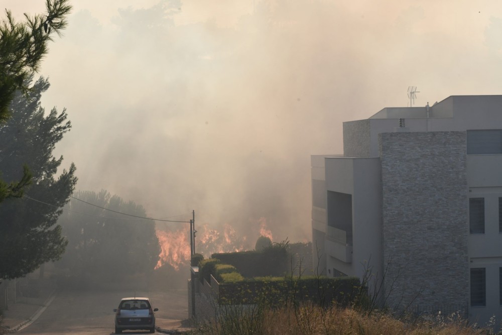 Πυροσβεστική: Ενεργά μέτωπα σε Γέρακα, Ανθούσα και Παλλήνη