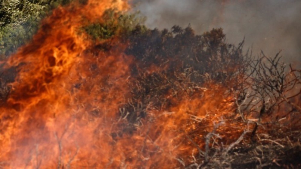 Εύβοια: Πυρκαγιά στην Αιδηψό
