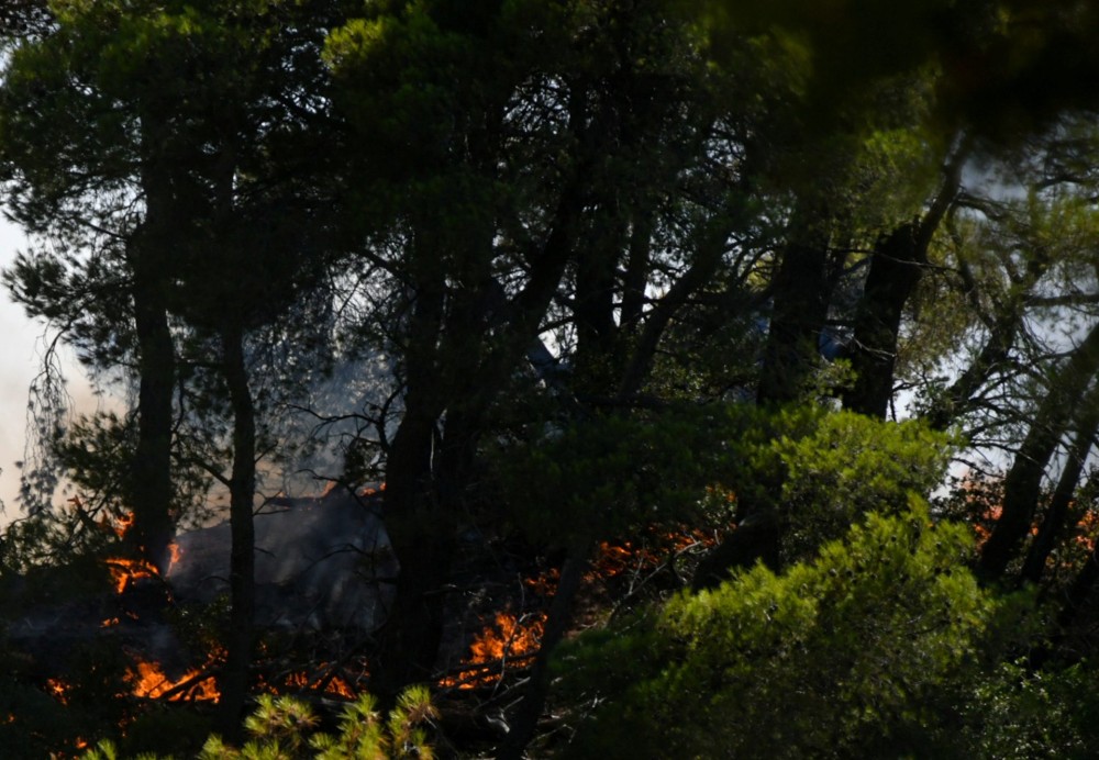 Φωτιά στην Αμαλιάδα: Στο νοσοκομείο με εγκαύματα ένας πυροσβέστης