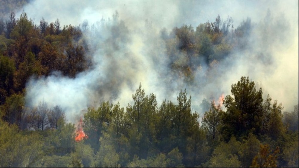 Πυρκαγιά σε δάσος στην Λευκάδα