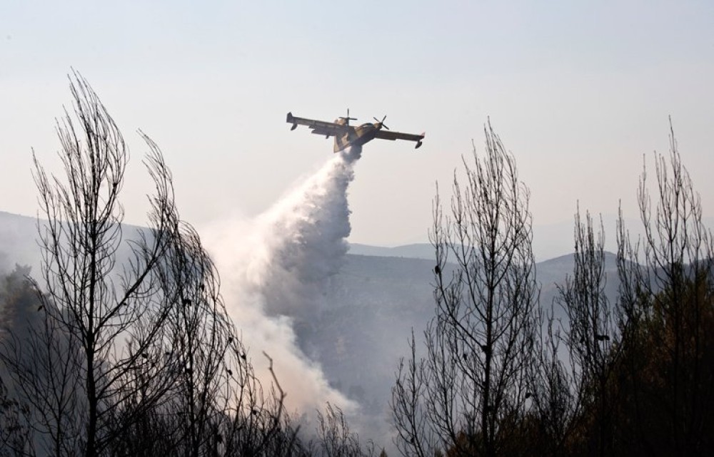Πύργος: Υπό μερικό έλεγχο η φωτιά στην περιοχή Κολίρι – Οριοθετήθηκε η πυρκαγιά στην Μαγούλα