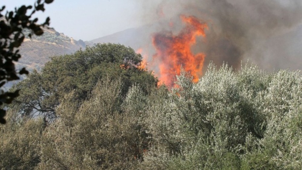 Πυρκαγιά στη Ζάκυνθο: Εντολή εκκένωσης της περιοχής Μεγαλώνι