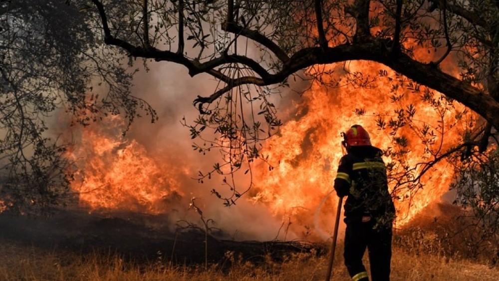 Πυρκαγιά στην περιοχή Πανιπέρι του Δήμου Μεσσήνης