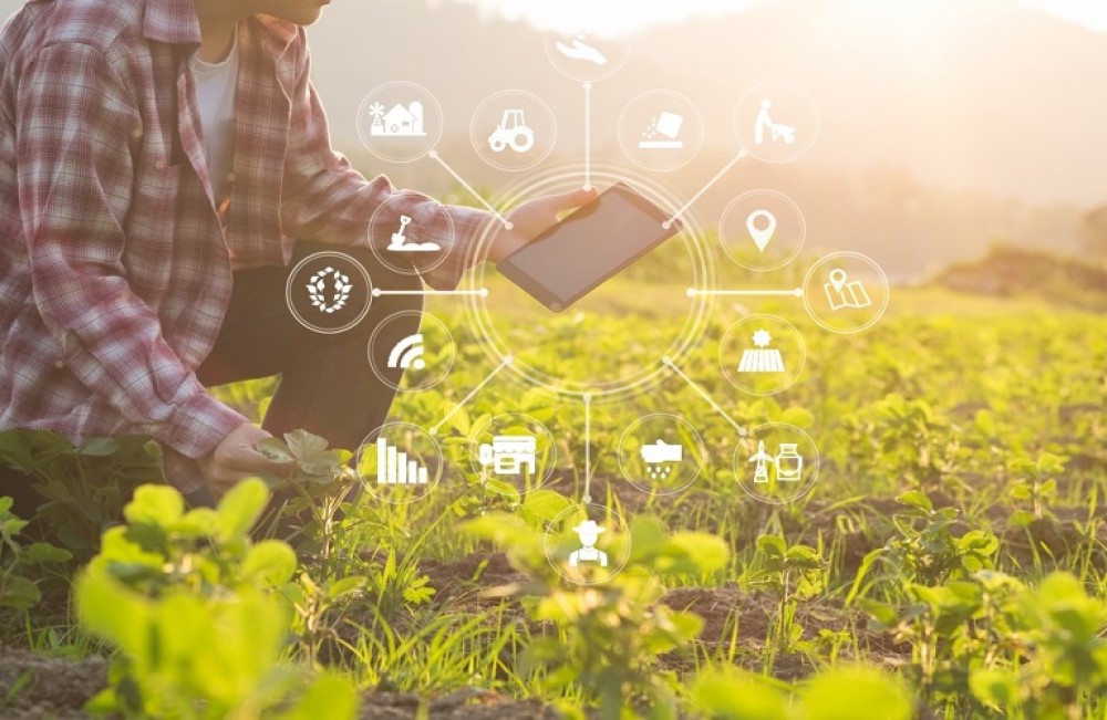 Ταμείο Ανάκαμψης: Η έξυπνη πλατφόρμα που οδηγεί τους αγρότες στην ψηφιακή εποχή