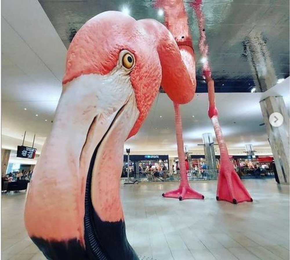 Γιγαντιαίο φλαμίνγκο καλωσορίζει τους ταξιδιώτες στο Tampa International Airport