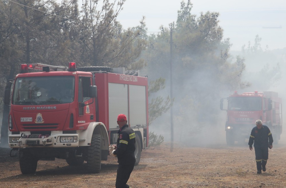 Αμαλιάδα: Φωτιά στην περιοχή Ανάληψη
