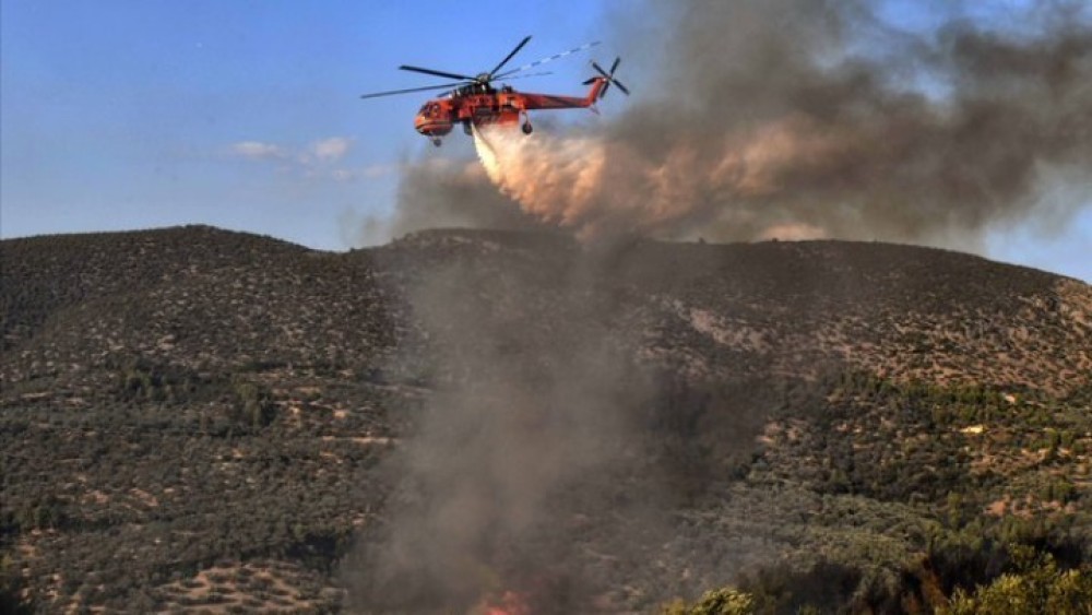 Φωτιά για πέμπτη φορά φέτος στο δάσος της Κέρης στην Κρήτη