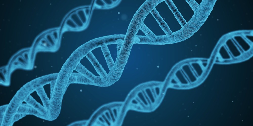 Επιστήμονες βρήκαν ποια γονίδια προκαλούν γήρανση