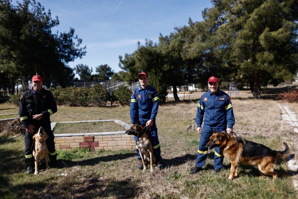 Φιντέλ, Τάλως, Έκτωρ: Τα σκυλιά της 2ης ΕΜΑΚ που σώζουν ζωές
