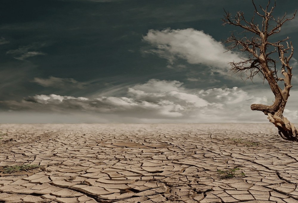 Aκόμη ένα καλοκαίρι ξηρασίας στην Ευρώπη - Απειλείται η αγροτική παραγωγή