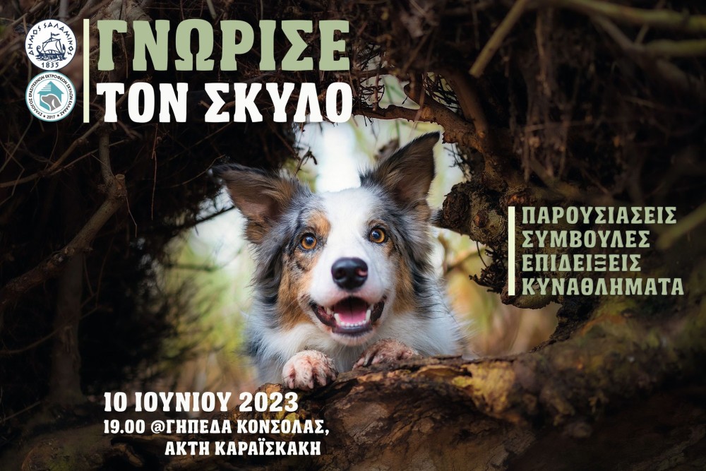 «Γνώρισε τον σκύλο»: Η πανέμορφη εκδήλωση στη Σαλαμίνα για τους τετράποδους φίλους μας