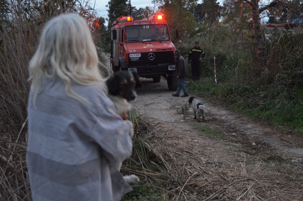 Φωτιές - Γραμματεία προστασίας ζώων συντροφιάς: περισσότερα από 200 ζώα σε ασφαλή τοποθεσία