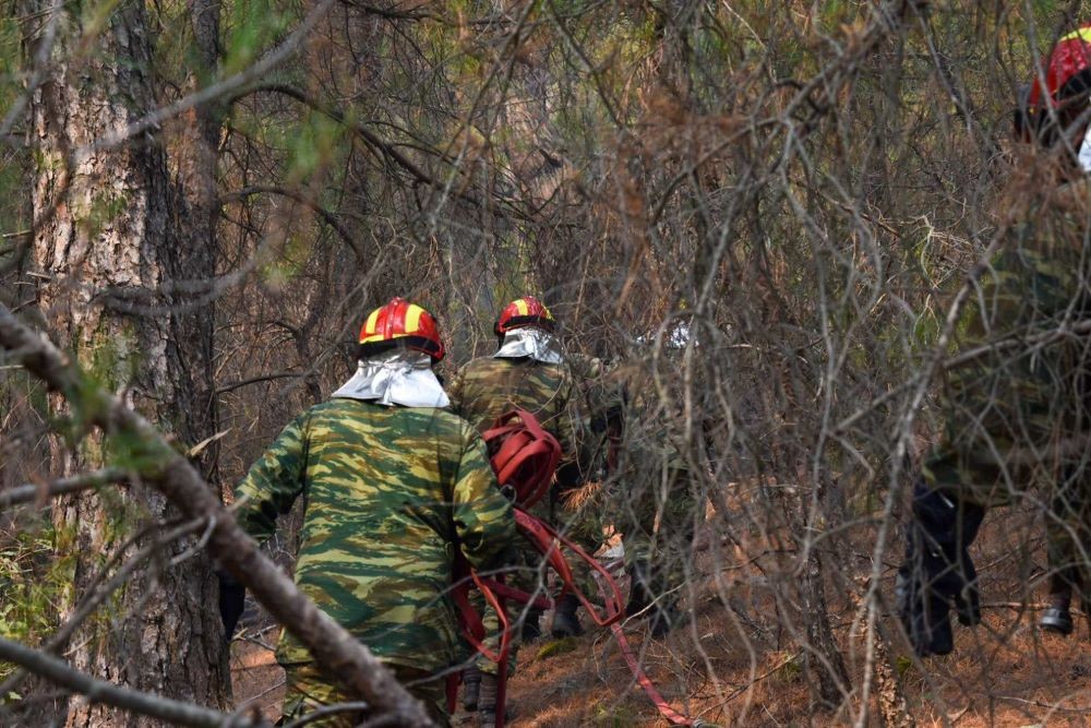 Φωτιές: ο ρόλος των αντιπυρικών ζωνών στην κατάσβεση των πυρκαγιών - στην πρώτη γραμμή τα μηχανήματα του Στρατού