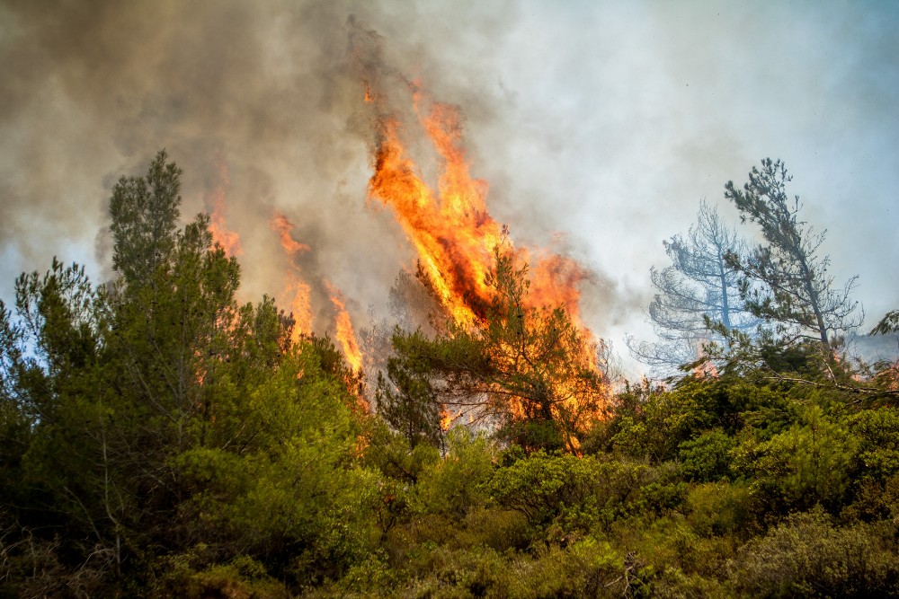 Φθιώτιδα: φωτιά στην περιοχή «Μεταλλείο Τσούκας» του Δήμου Λοκρών