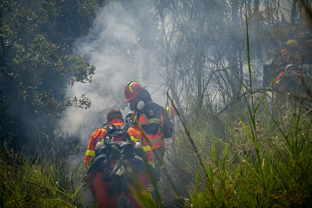 Ηλεία: νέα φωτιά στην περιοχή Πλάτανος