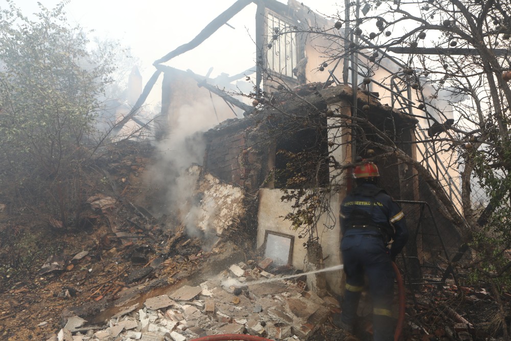 Φωτιές: ξεκινούν οι αιτήσεις για την ενίσχυση των πληγέντων της Αλεξανδρούπολης - Τι καλύπτει