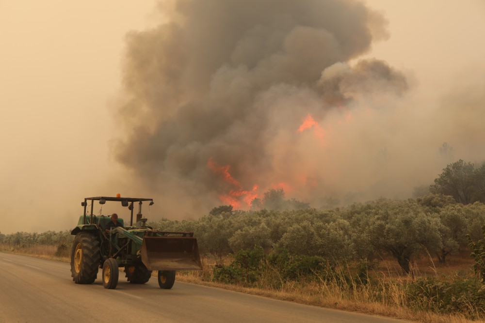 Έβρος: κάηκαν πολλά ζώα και καλλιεργήσιμες εκτάσεις - Ζημιές σε υποδομές