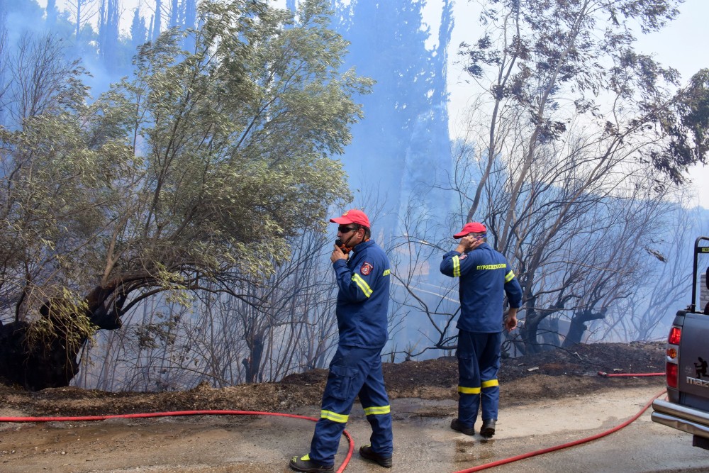 Σε ύφεση η πυρκαγιά στον Έβρο - Οι πυροσβεστικές δυνάμεις αντιμετωπίζουν 82 πυρκαγιές σε όλη τη χώρα