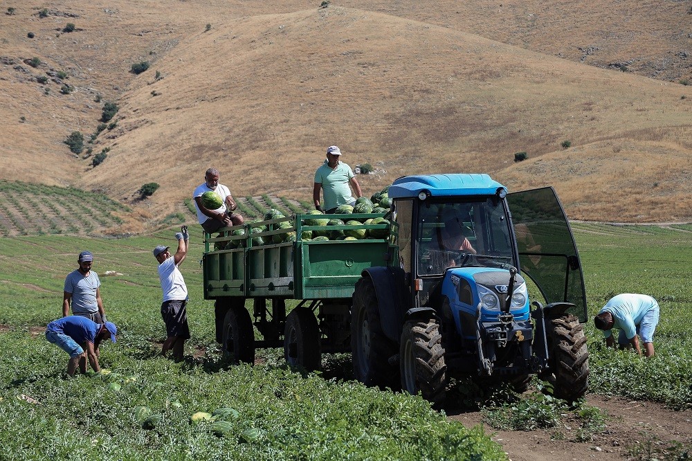 Γεωργία: αύξηση εσόδων για τους αγρότες