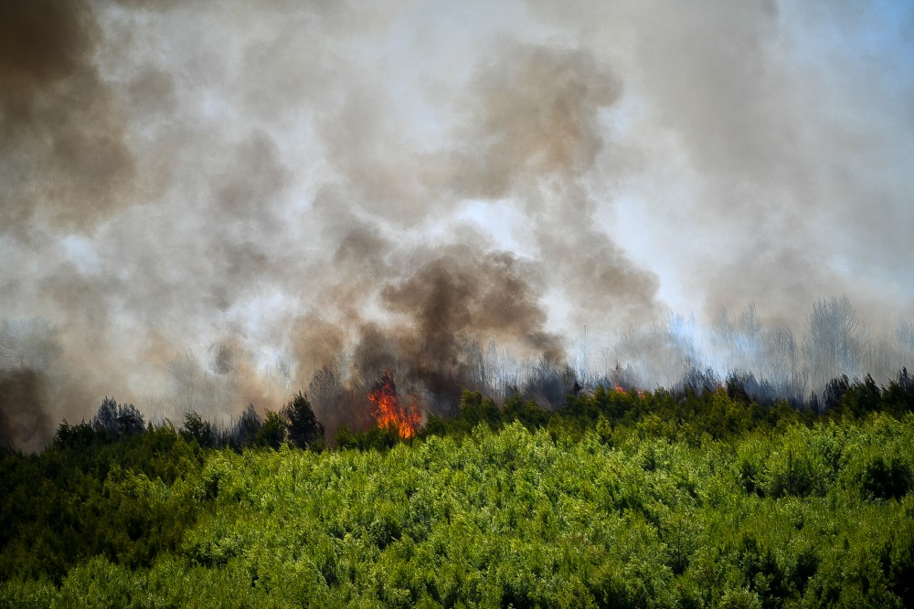 Φωτιά στη Ρίγανη Αιτωλοακαρνανίας: Μεγάλη κινητοποίηση της Πυροσβεστικής