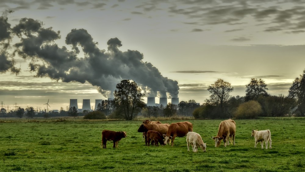 Διεθνής Οργανισμός Ενέργειας: νέο υψηλό ρεκόρ στην κατανάλωση άνθρακα