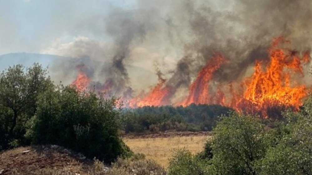 Εύβοια: μεγάλη φωτιά στον υδροβιότοπο στα Ψαχνά- Μήνυμα του 112