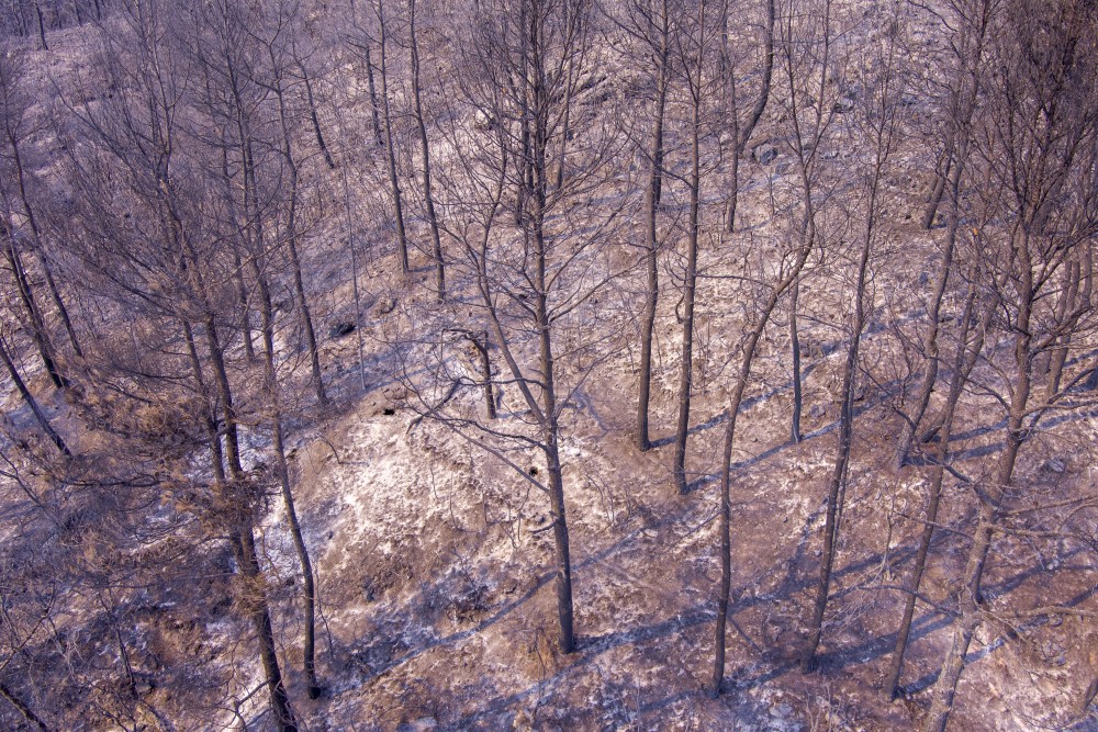 Φωτιές σε Έβρο και Πάρνηθα: η νεότερη χαρτογράφηση των καμένων εκτάσεων (φωτό)