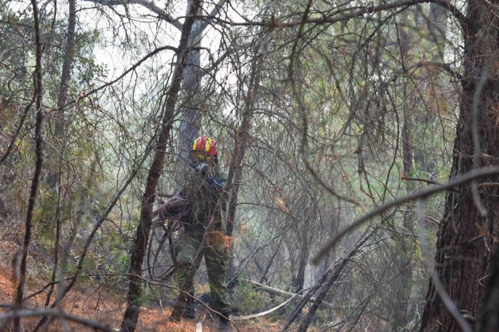 ΥΠΕΝ για Δαδιά: Κάηκε σχεδόν το 60% του δάσους