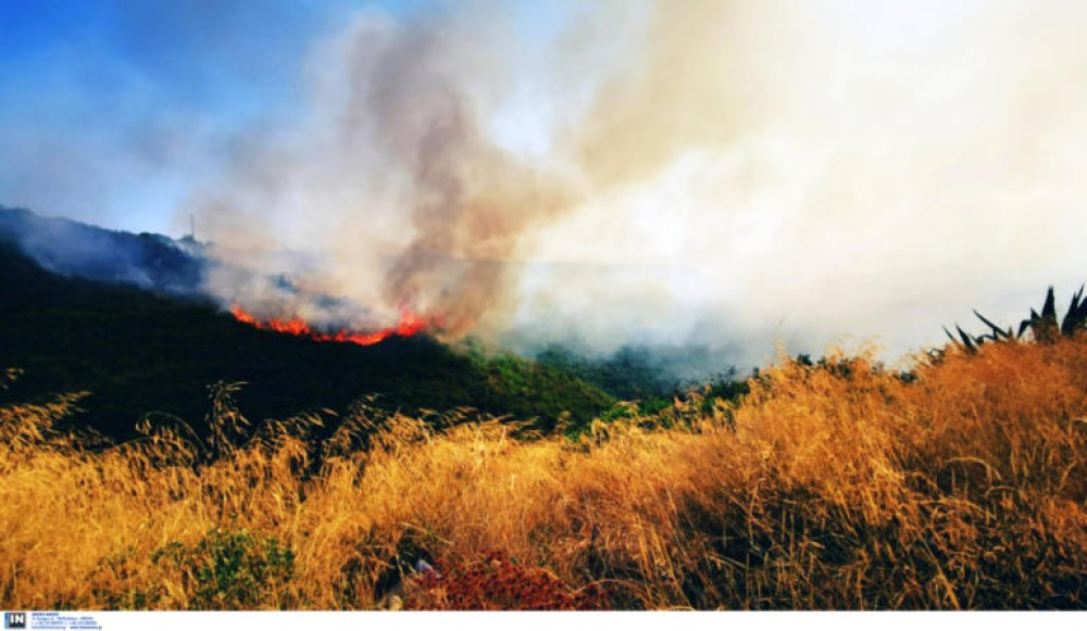 Σε εξέλιξη φωτιά που καίει δάσος στο Άγιον Όρος