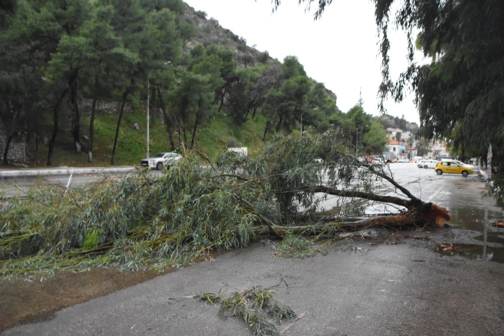 Καιρός: θυελλώδεις άνεμοι σε Καστελόριζο και Ρόδο- Ζημιές στο οδικό δίκτυο και πτώσεις δέντρων στην Σάμο