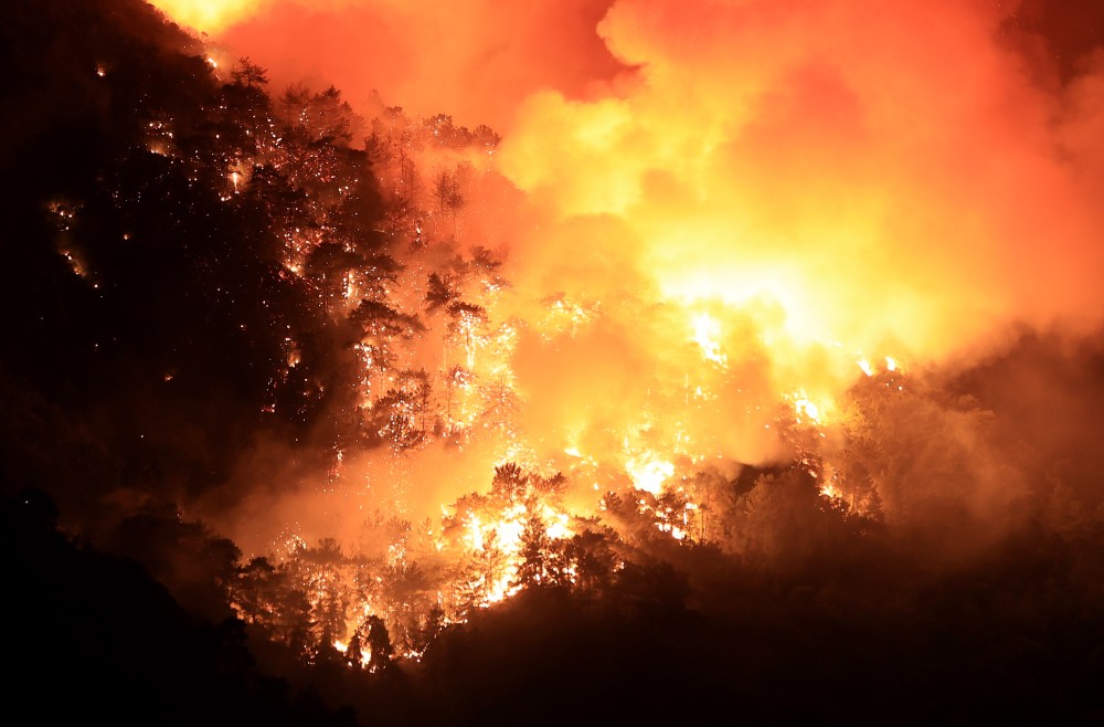 Φονικές οι πυρκαγιές του 2023: κατέστρεψαν δάση, σκότωσαν ανθρώπους, μόλυναν τον αέρα