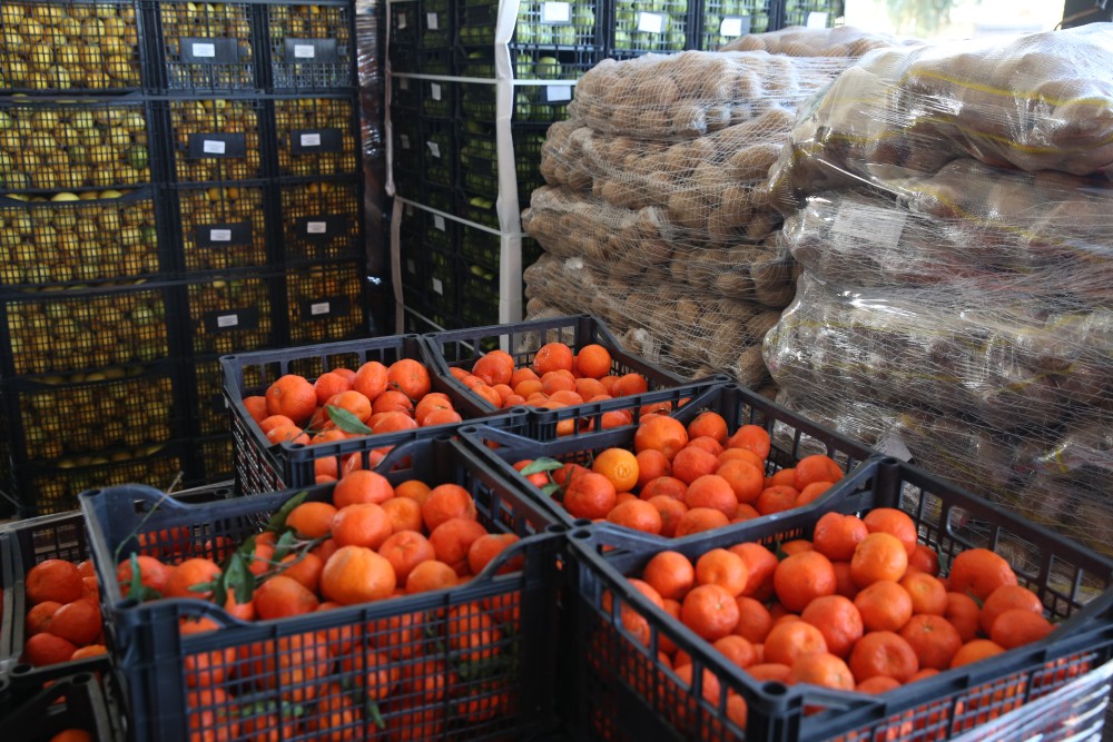 Χρονιά-ρεκόρ για τις εξαγωγές φρούτων και λαχανικών το 2023