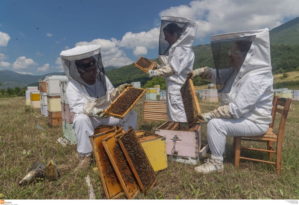 Στο Σύνταγμα δίνουν ραντεβού την Πέμπτη οι μελισσοκόμοι