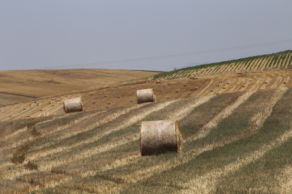 «Τυράκι» για τους ευρωπαίους αγρότες σχεδιάζει η Κομισιόν- «έρχονται» δασμοί στα εισαγόμενα σιτηρά