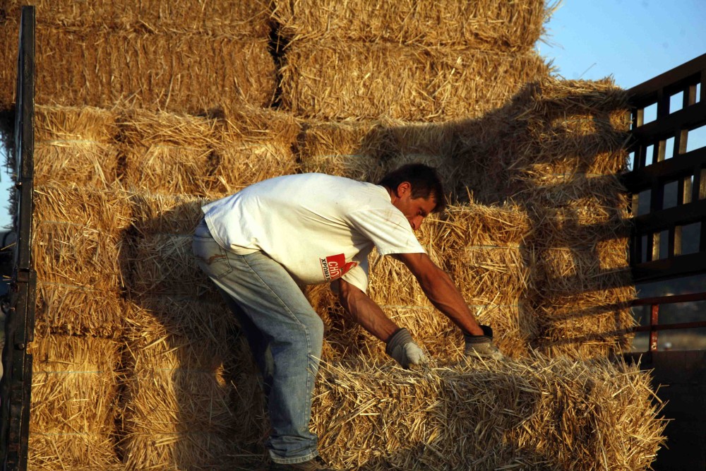 ΑΑΔΕ: σε λειτουργία η πλατφόρμα για την επιστροφή ΦΠΑ στους αγρότες ειδικού καθεστώτος