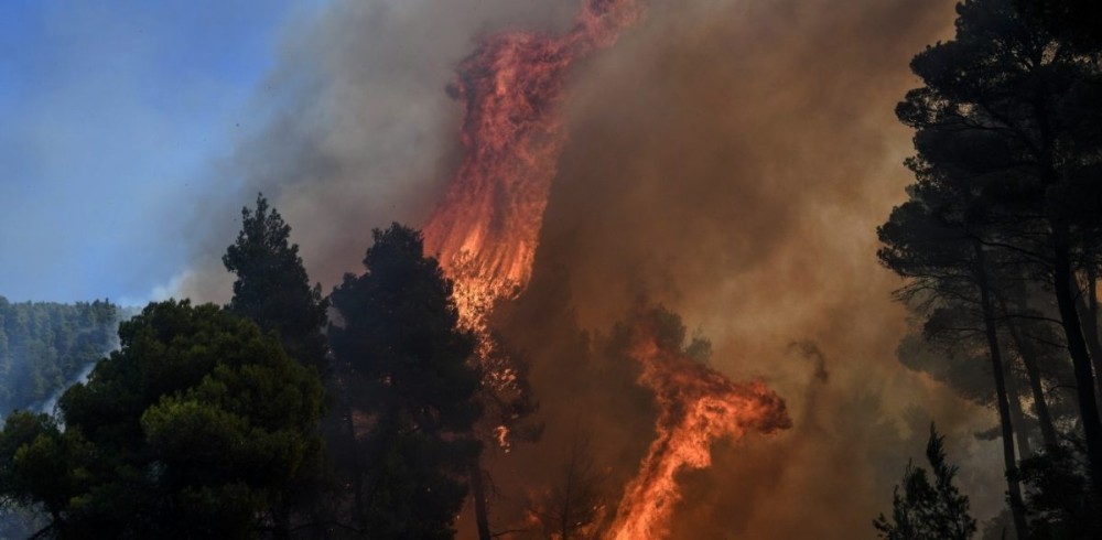 Φωτιά σε δασική έκταση στη Λούτσα