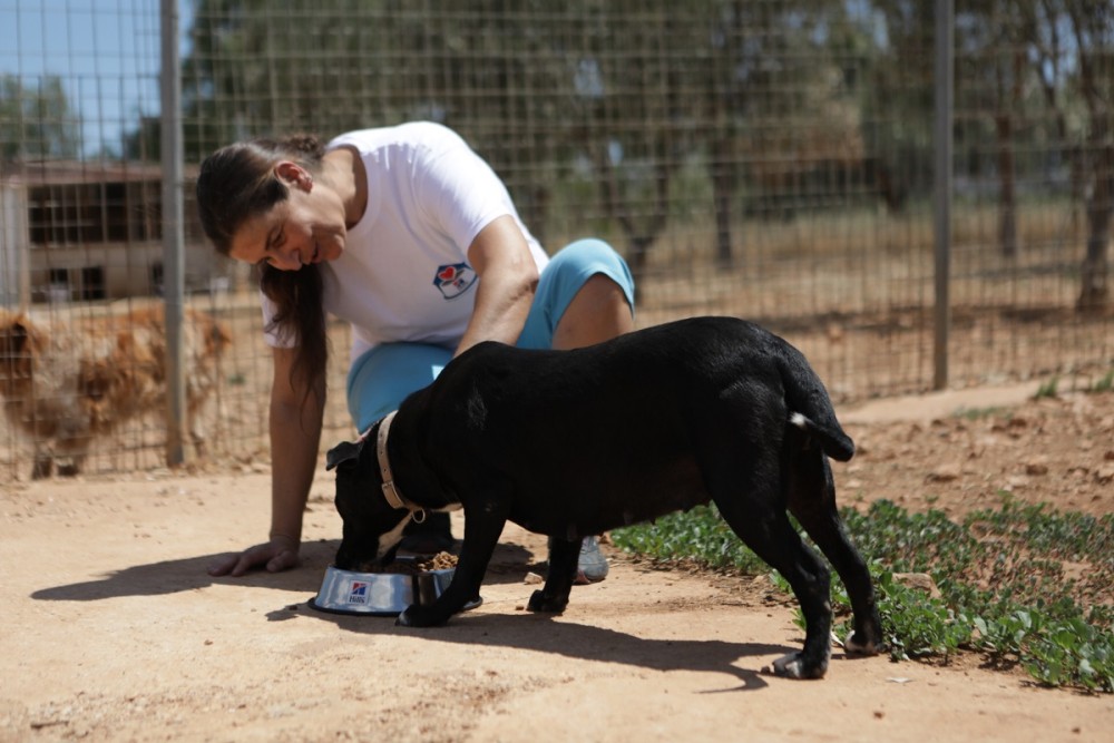 Η HILL’S στηρίζει τα καταφύγια και τα σωματεία αδέσποτων ζώων σε όλη τη Ελλάδα
