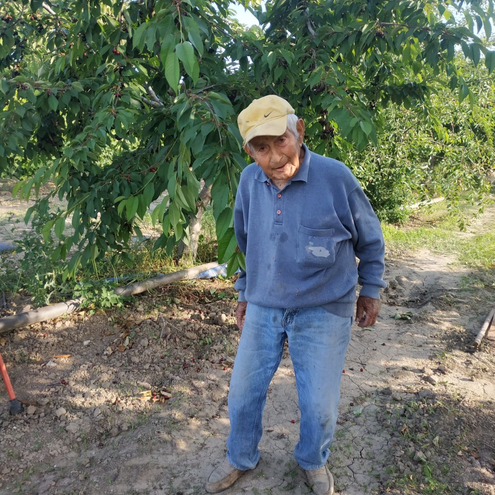 Επίμονος αγρότης ετών 88&#33; Με&#8230; πυξίδα την καινοτομία «οργώνει» τα χωράφια για επτά δεκαετίες