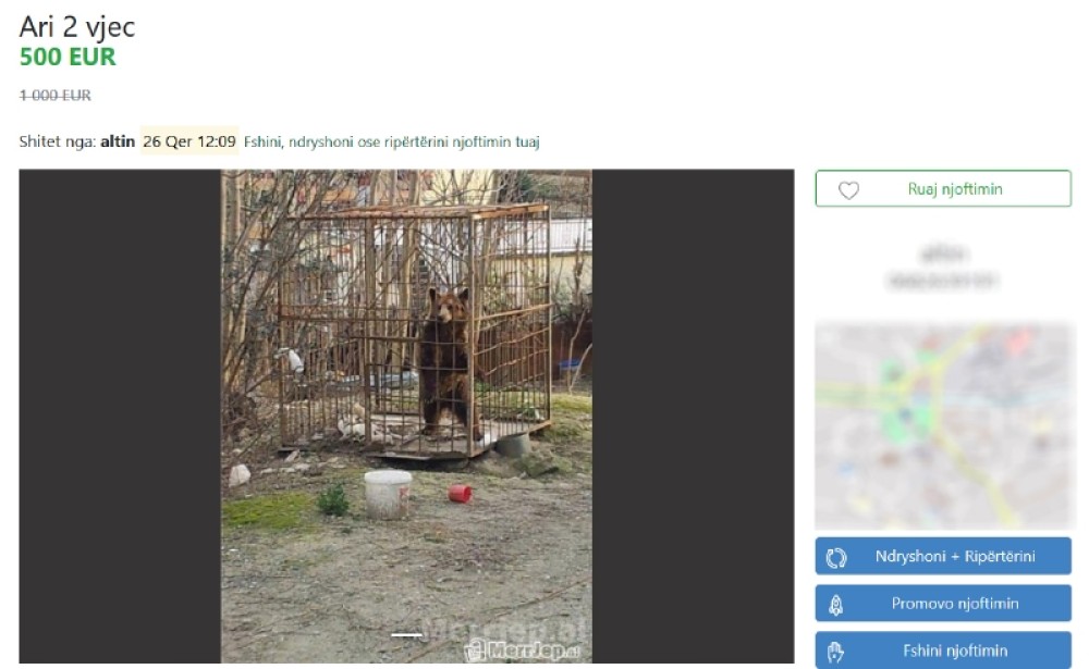 &#8220;Αγρίεψε&#8221; το παράνομο διαδικτυακό εμπόριο ζώων στην Αλβανία