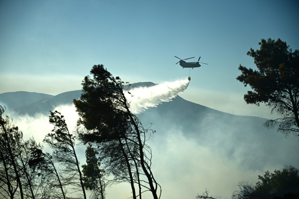 Πάνω από 50 δασικές πυρκαγιές σε ένα 24ωρο - Δύο πυροσβέστες τραυματίες στη Χίο - Πρόστιμα και συλλήψεις
