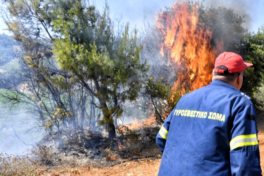 Πυρκαγιές: δύο νέα μέτωπα σε Αρκαδία και Ελασσόνα