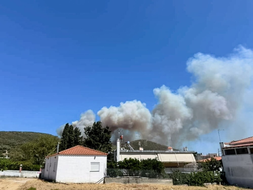 Μεγάλη φωτιά στην Εύβοια- Καίει κοντά σε σπίτια